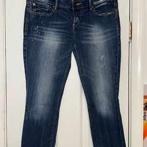 Express Dark Wash Straight Leg Jeans